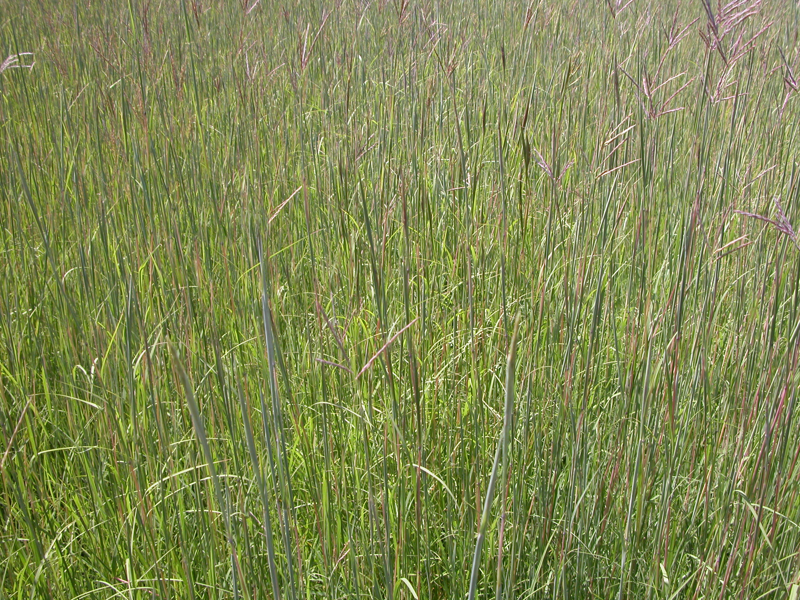 DSCN5890.JPG